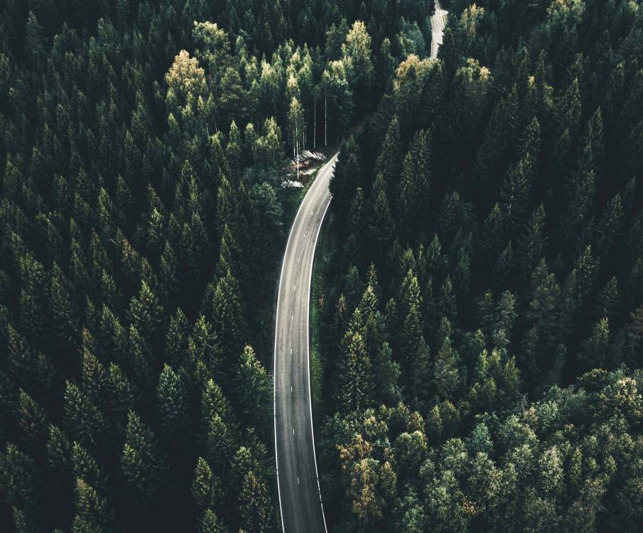 mork-granskog-vag